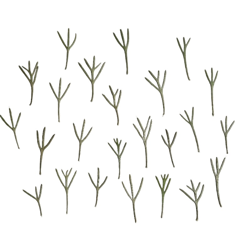 Resin Art Bookmark - 24pcs,Real Pressed Achillea Leaves Dried Flower