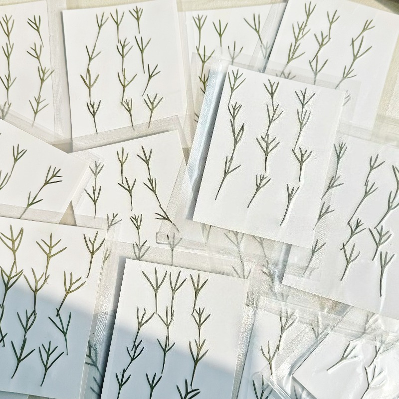 24pcs,Real Pressed Achillea Le - Resin Art Bookmark review and price